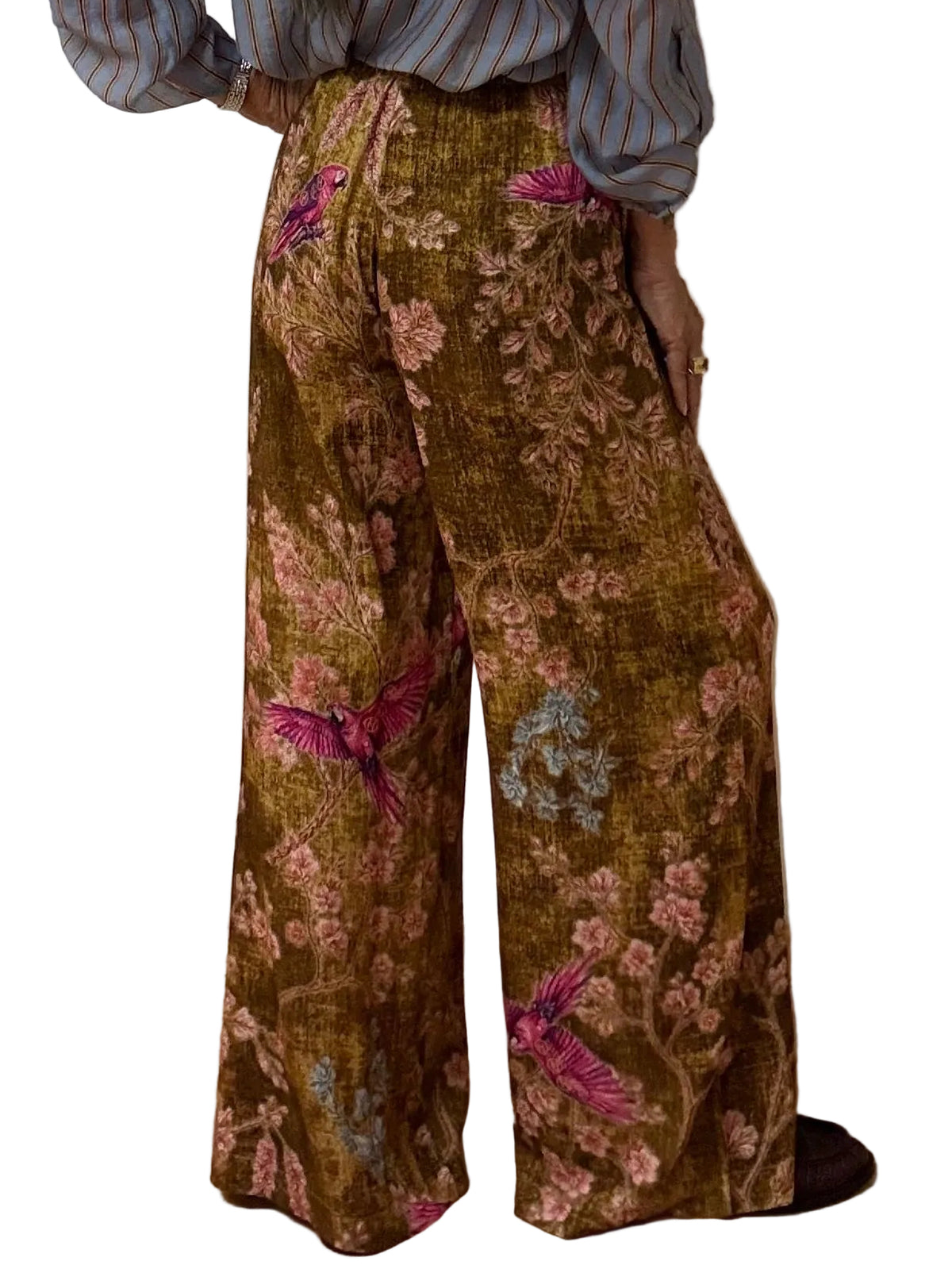 PANTALONE NOMAD R234 HAVEONE