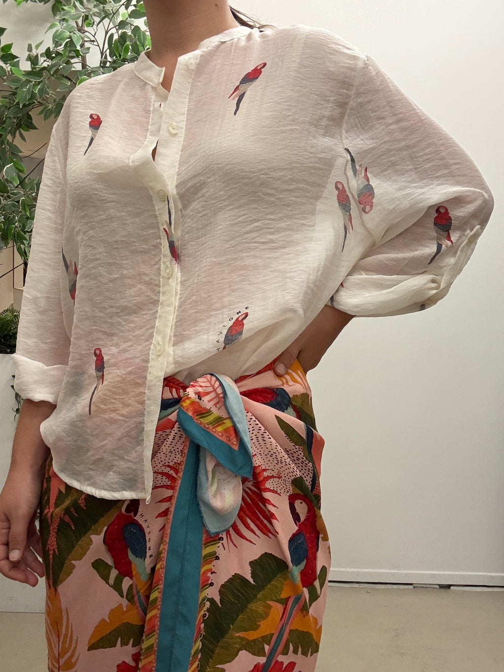 Camicia scatola Haveone pappagallino Q490