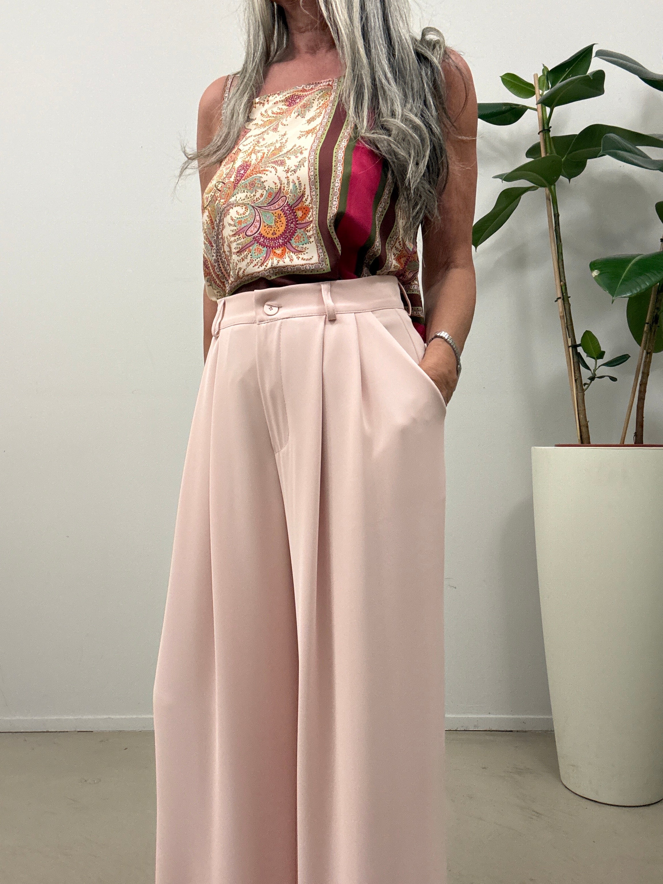Pantalone a palazzo Vicolo