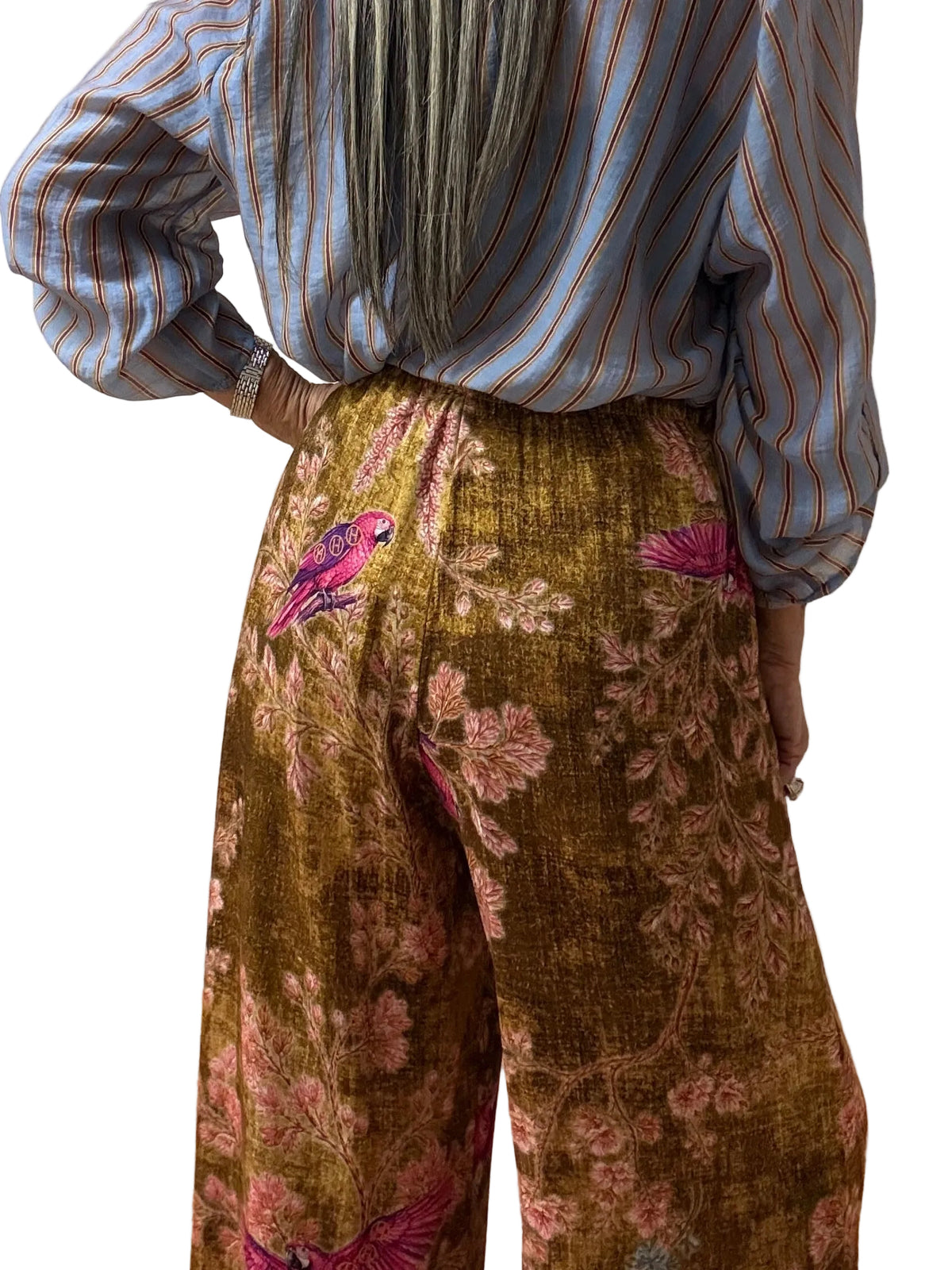 PANTALONE NOMAD R234 HAVEONE