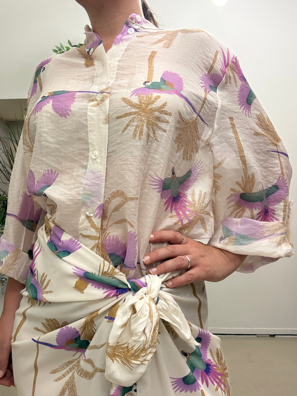 Camicia scatola Q486 HAVE ONE